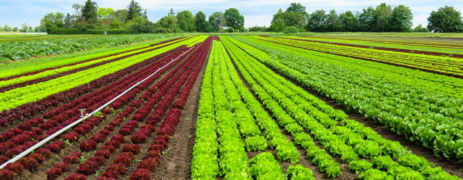 tecnología en la agricultura